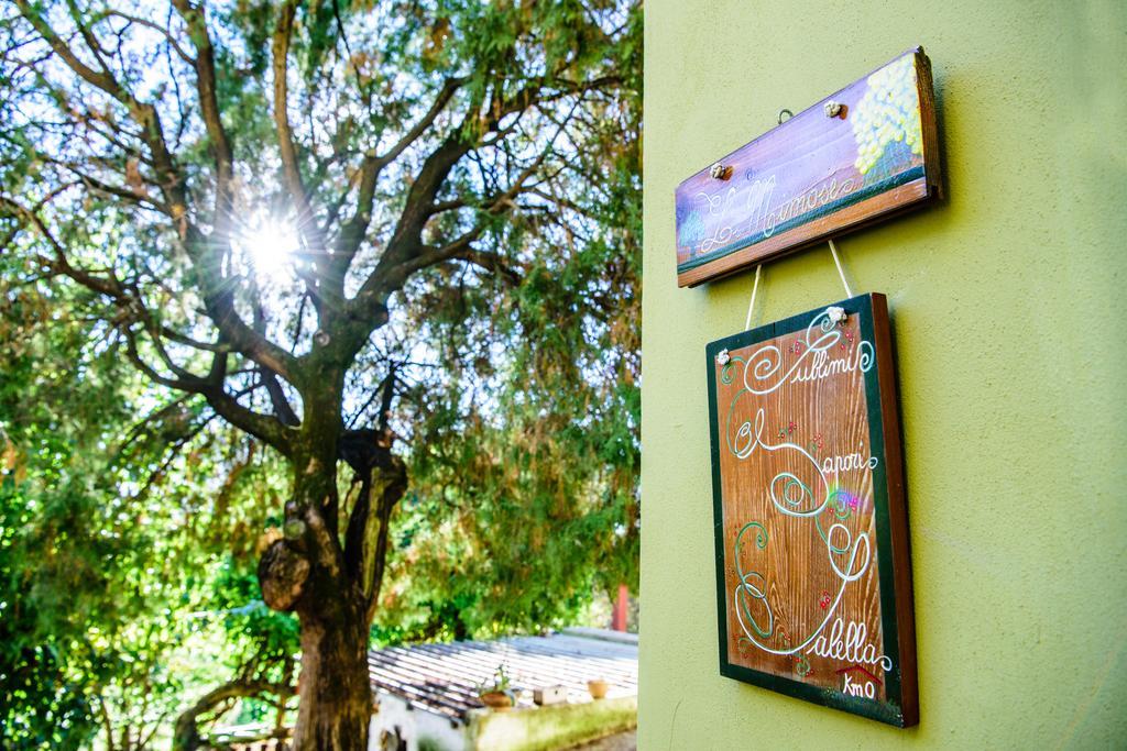Acasamia Resort San Cipriano Picentino Екстериор снимка